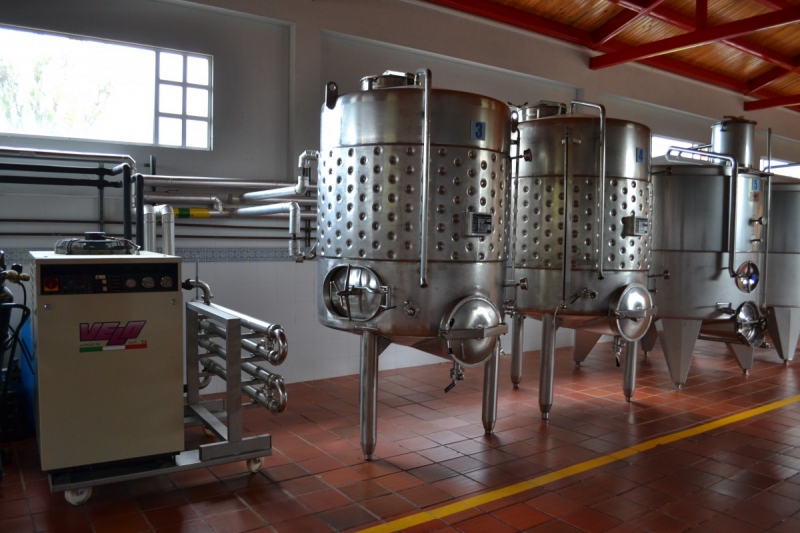 cave-MOUANS SARTOUX-min_wine_production_cantine_winery_drink_alcohol_vine_beverage-902036